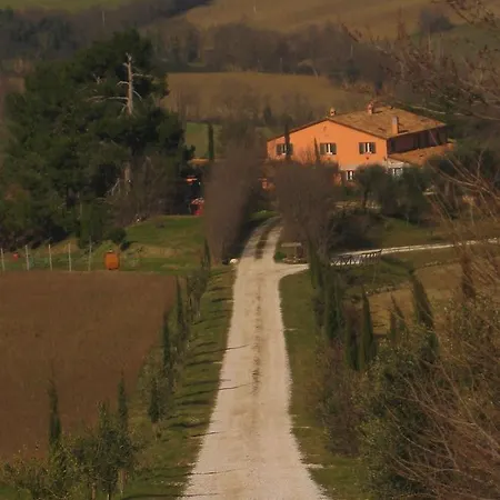 Chesanova Mombaroccio